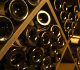 cycling through the vineyards