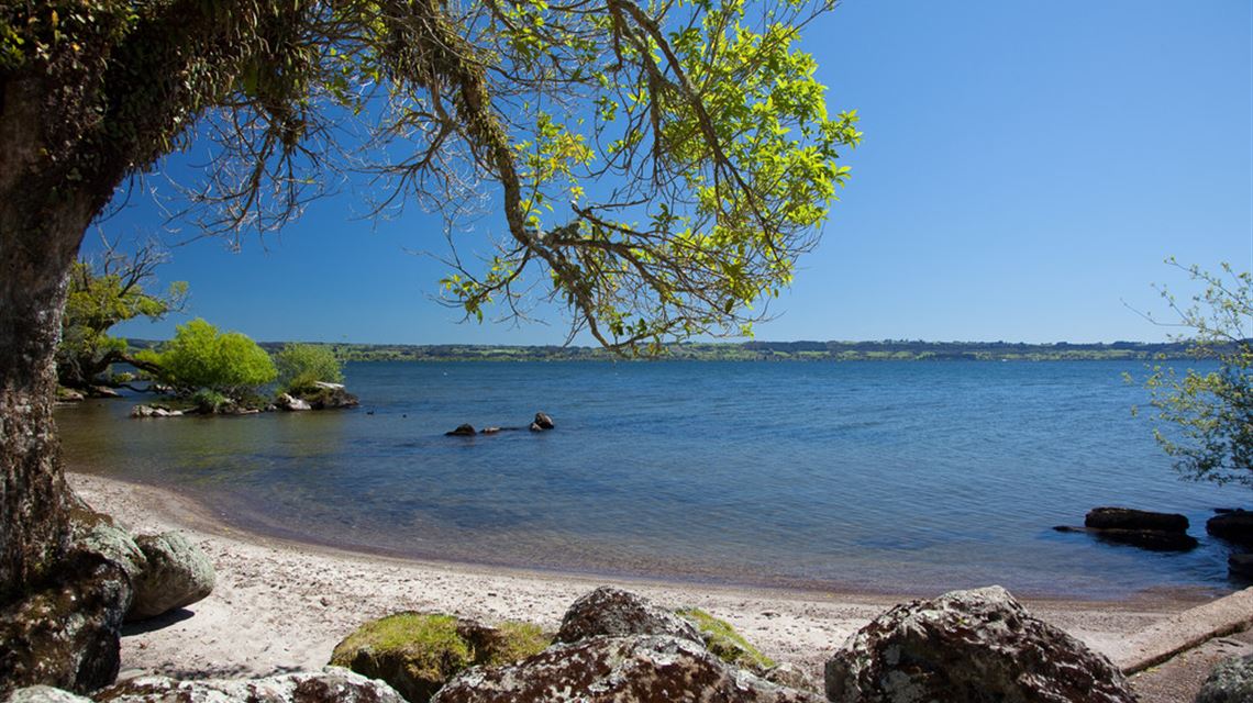 Lake Rotorua Peppers on the Point