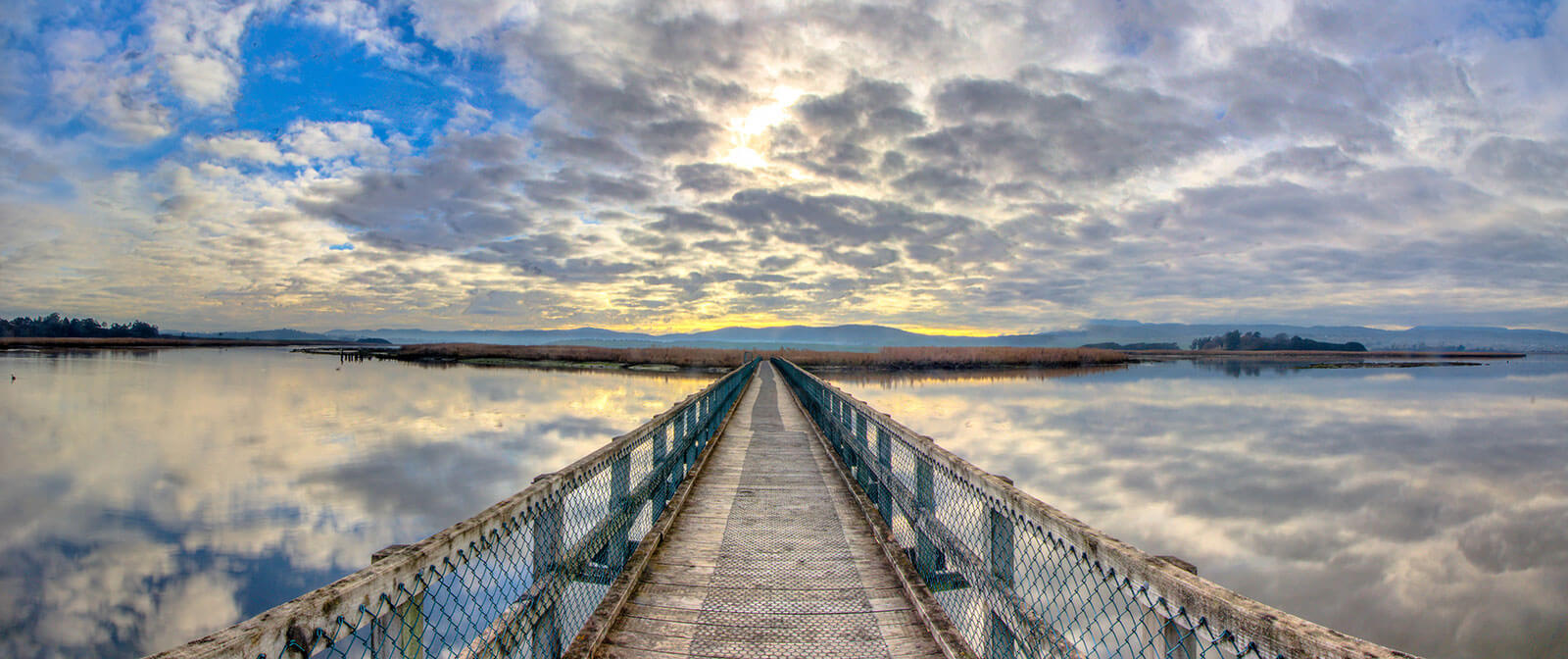 Tamar Island  Wetlands