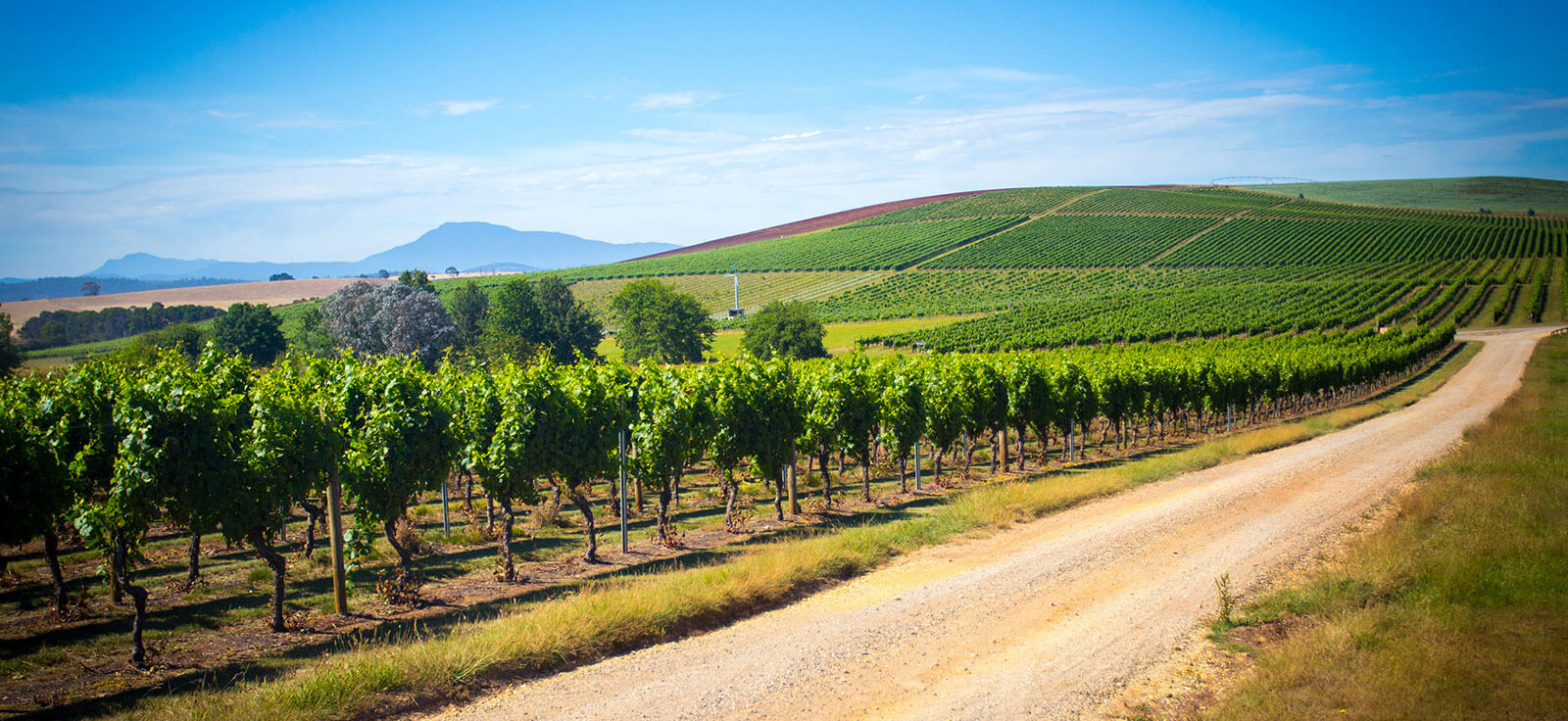 Jansz Tasmania