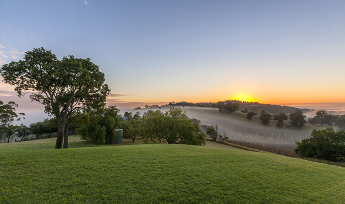 Peppers Experiences Scenic Hunter Valley Wineries